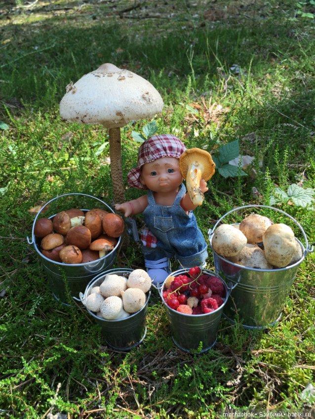 Данька побил собственный рекорд по сбору грибов