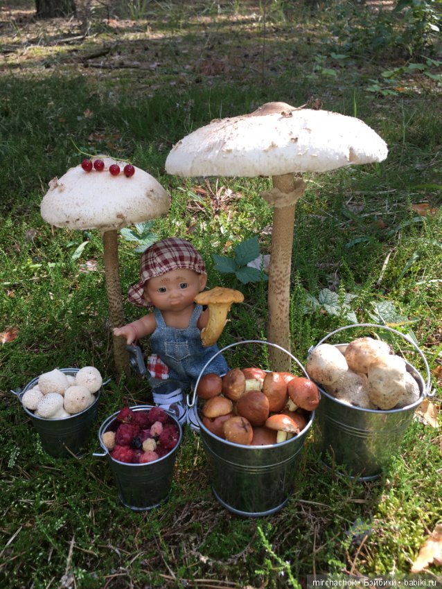 Данька побил собственный рекорд по сбору грибов