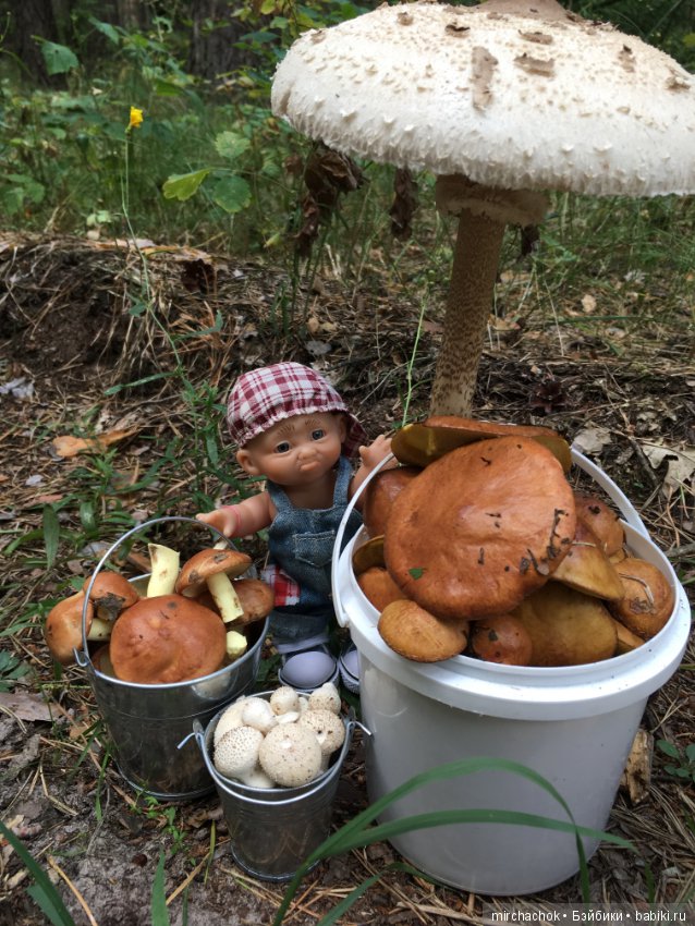 Данька побил собственный рекорд по сбору грибов