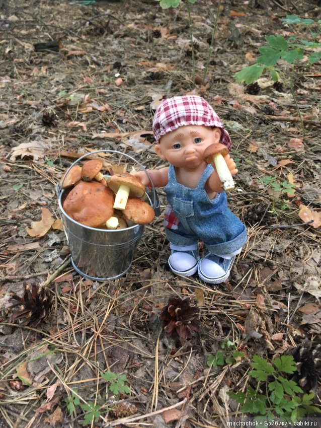 Данька побил собственный рекорд по сбору грибов