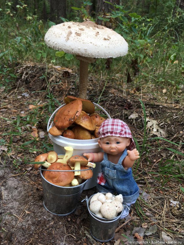 Данька побил собственный рекорд по сбору грибов