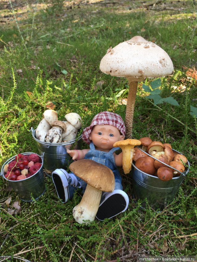 Данька побил собственный рекорд по сбору грибов