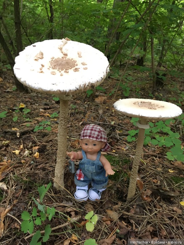 Данька побил собственный рекорд по сбору грибов (фото 4)