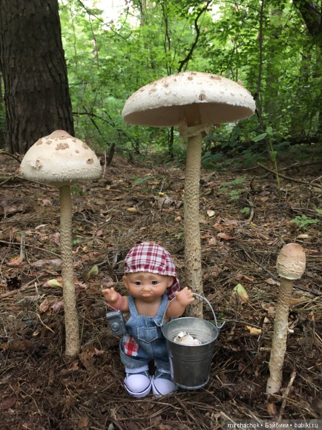Данька побил собственный рекорд по сбору грибов (фото 8)