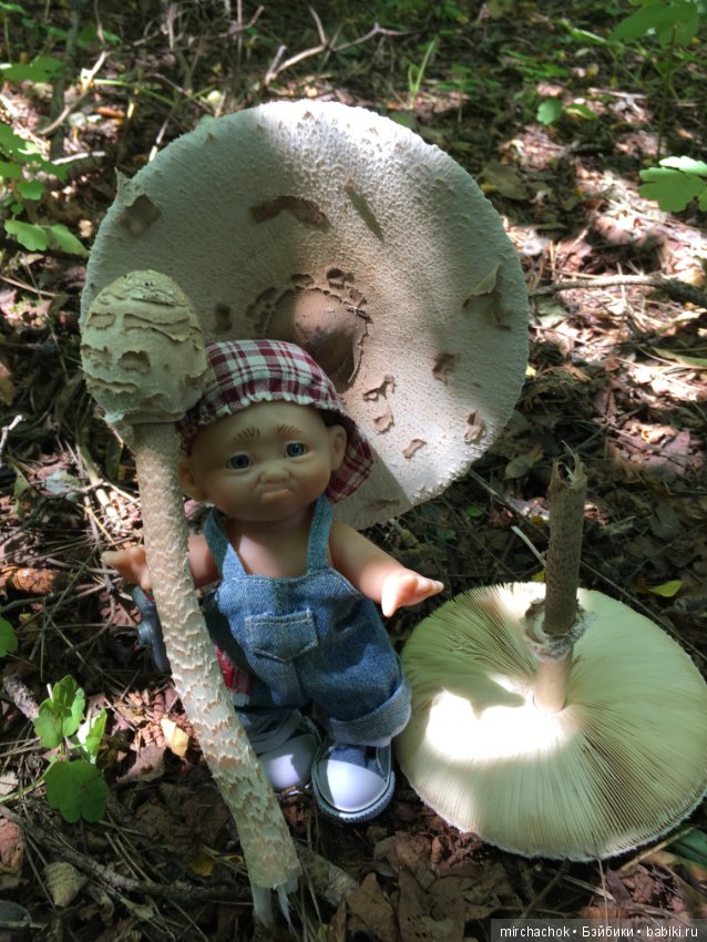 Данька побил собственный рекорд по сбору грибов