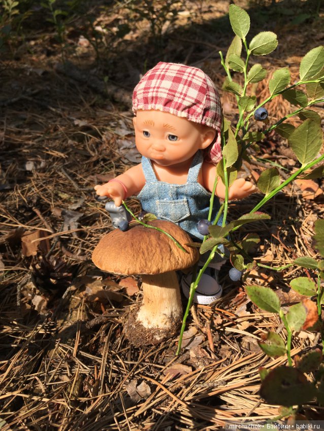 Данька побил собственный рекорд по сбору грибов