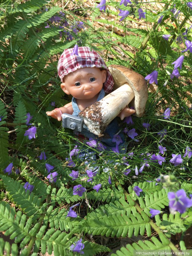 Данька побил собственный рекорд по сбору грибов