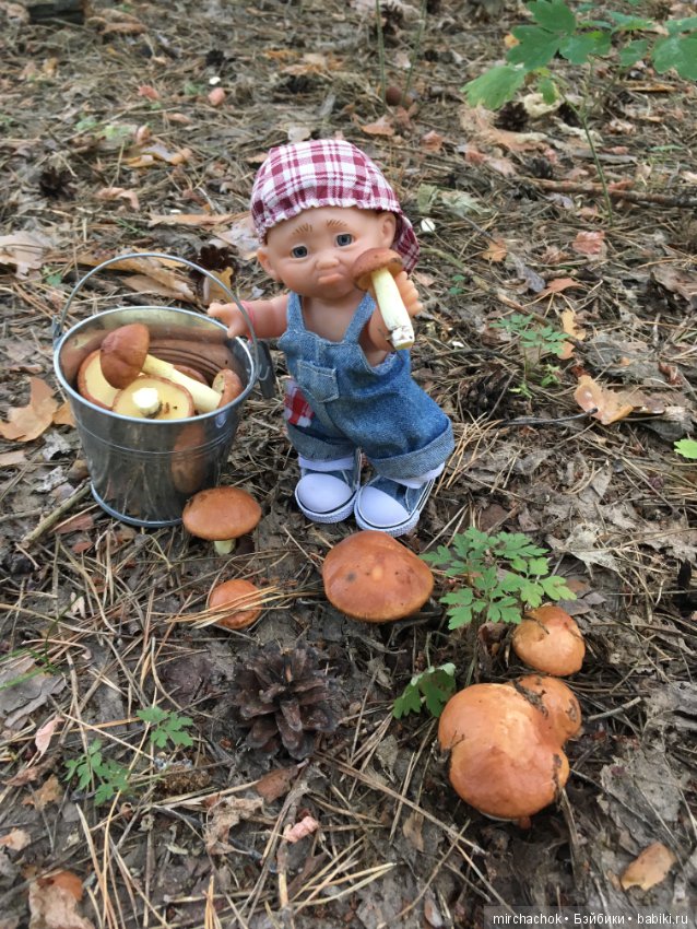 Данька побил собственный рекорд по сбору грибов