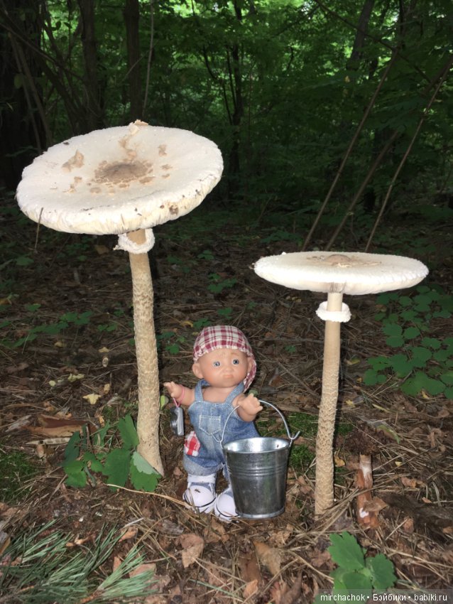 Данька побил собственный рекорд по сбору грибов (фото 5)