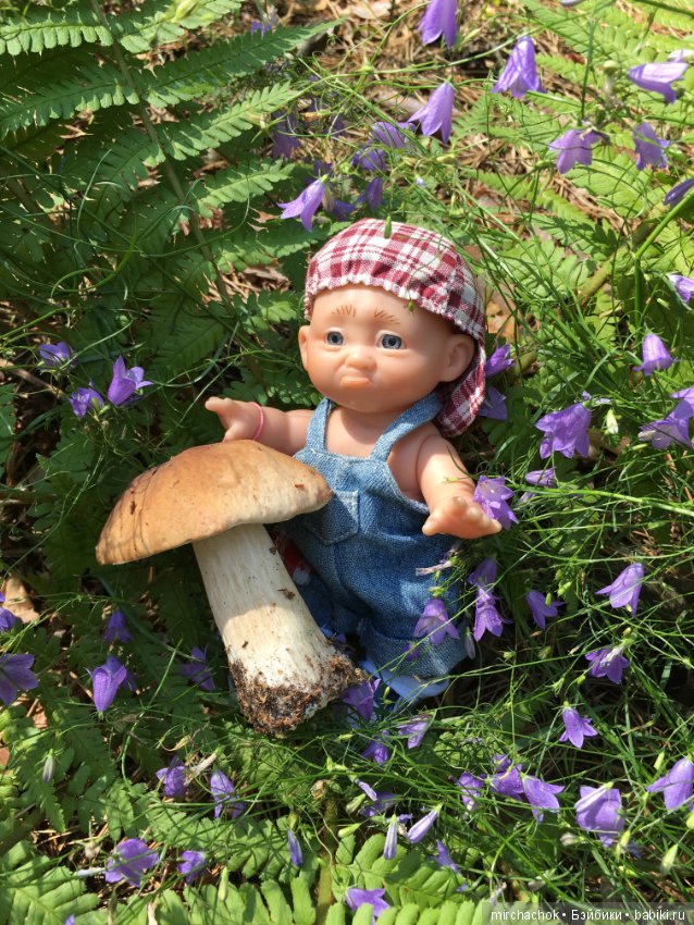 Данька побил собственный рекорд по сбору грибов