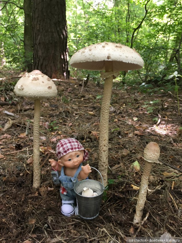 Данька побил собственный рекорд по сбору грибов (фото 9)