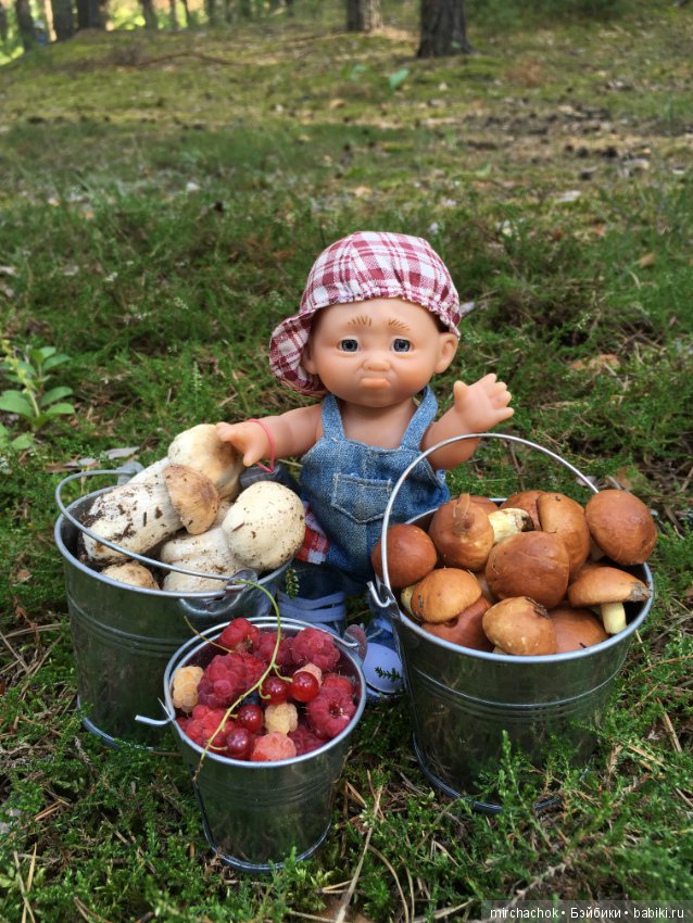 Данька побил собственный рекорд по сбору грибов