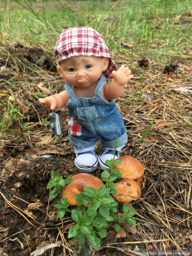 Данька побил собственный рекорд по сбору грибов (фото 10)