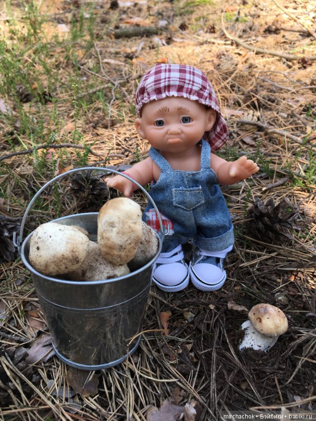 Данька побил собственный рекорд по сбору грибов