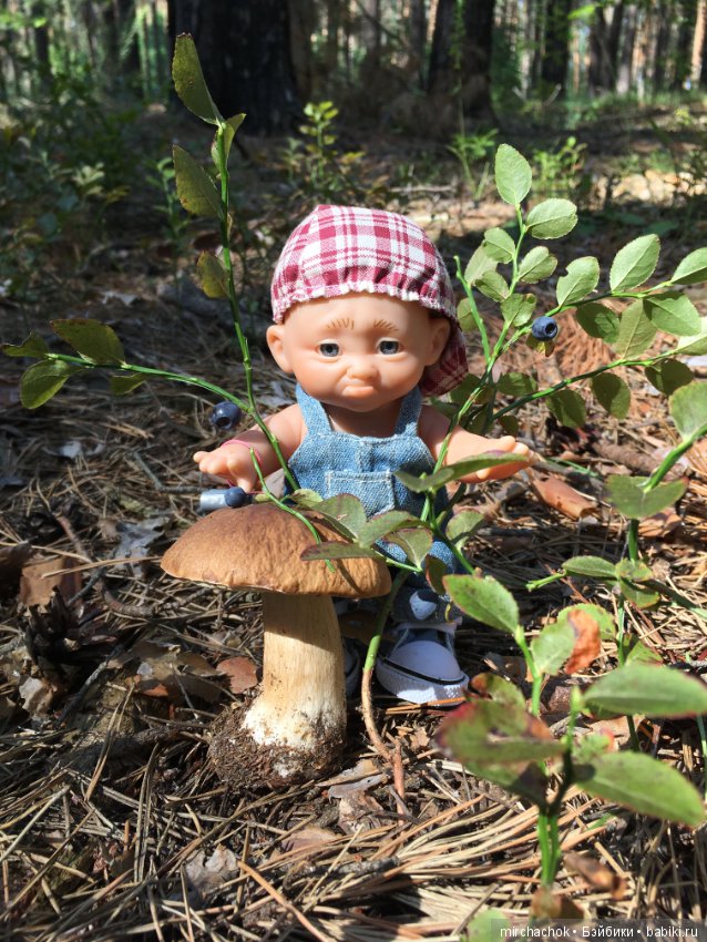 Данька побил собственный рекорд по сбору грибов