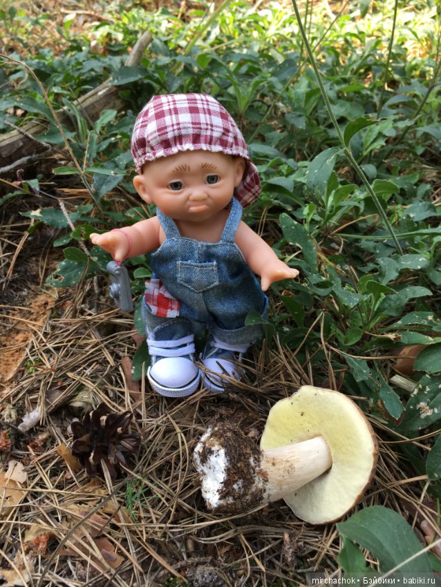 Данька побил собственный рекорд по сбору грибов