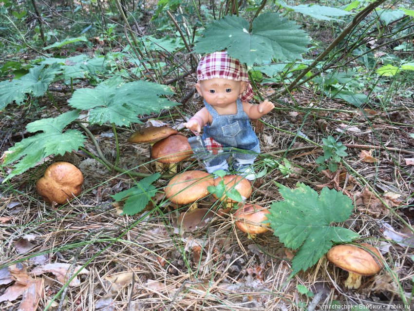 Данька побил собственный рекорд по сбору грибов