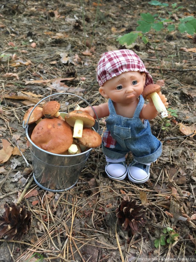 Данька побил собственный рекорд по сбору грибов