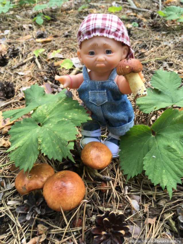 Данька побил собственный рекорд по сбору грибов