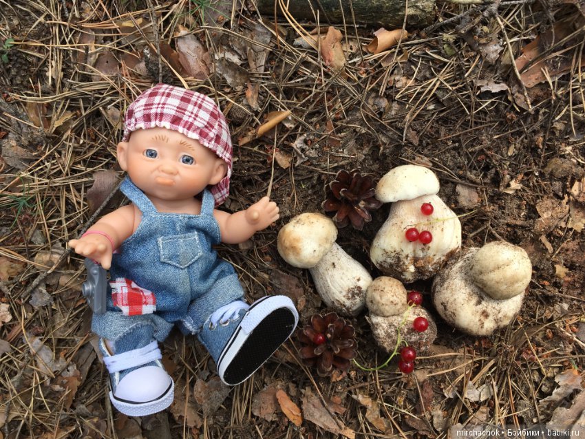 Данька побил собственный рекорд по сбору грибов