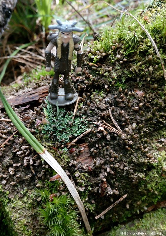 Забияка в лесу — Фигурки Киндер Сюрприз (Kinder)