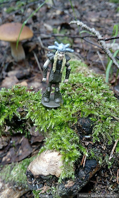 Забияка в лесу — Фигурки Киндер Сюрприз (Kinder) (фото 3)