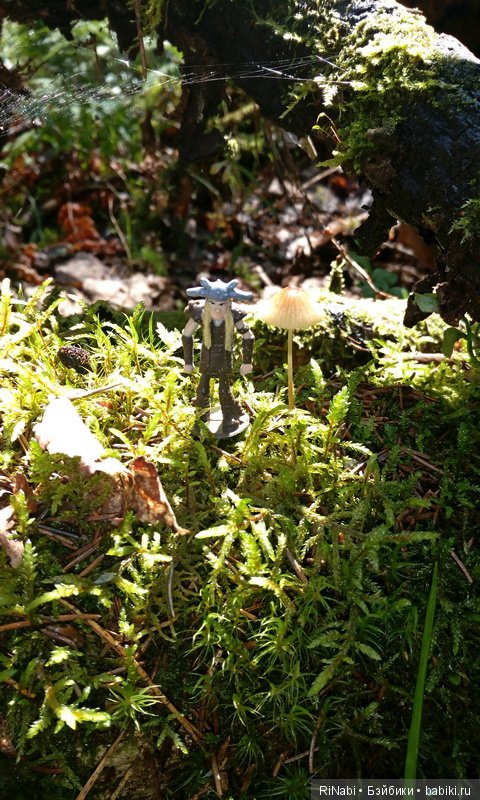 Забияка в лесу — Фигурки Киндер Сюрприз (Kinder) (фото 5)