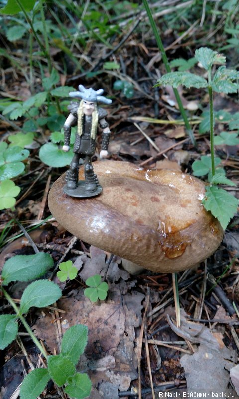 Забияка в лесу — Фигурки Киндер Сюрприз (Kinder)