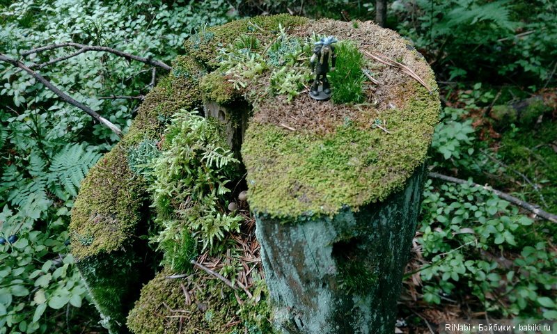 Забияка в лесу — Фигурки Киндер Сюрприз (Kinder)