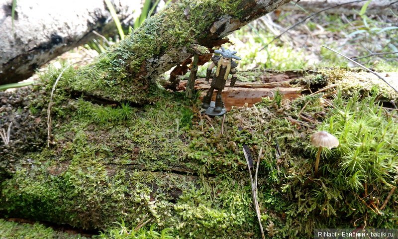 Забияка в лесу — Фигурки Киндер Сюрприз (Kinder)