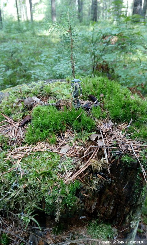 Забияка в лесу — Фигурки Киндер Сюрприз (Kinder) (фото 7)