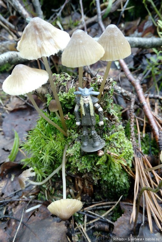 Забияка в лесу — Фигурки Киндер Сюрприз (Kinder)