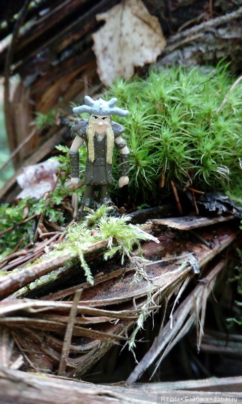 Забияка в лесу — Фигурки Киндер Сюрприз (Kinder) (фото 6)