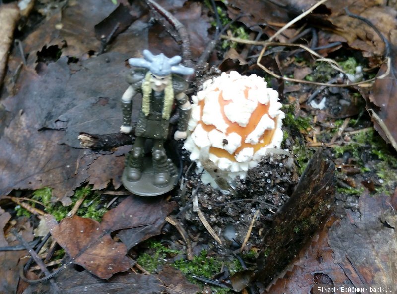 Забияка в лесу — Фигурки Киндер Сюрприз (Kinder) (фото 4)