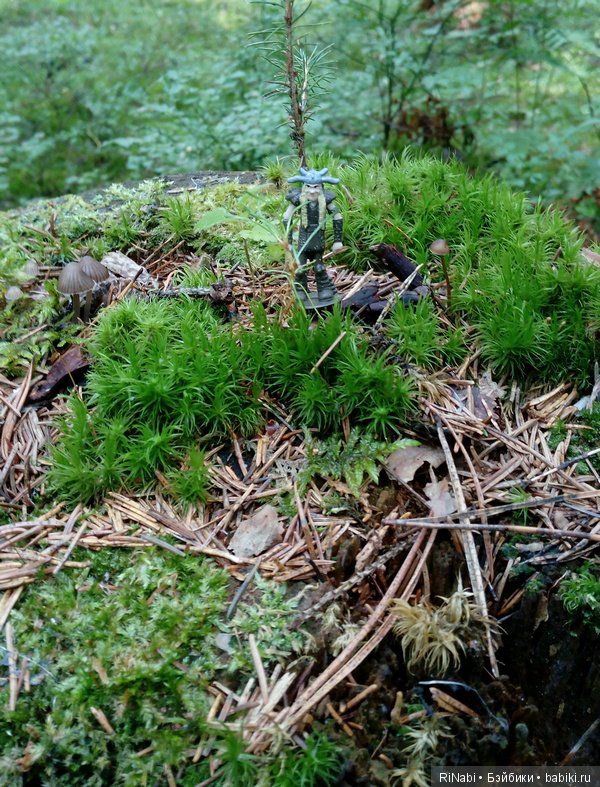 Забияка в лесу — Фигурки Киндер Сюрприз (Kinder) (фото 8)