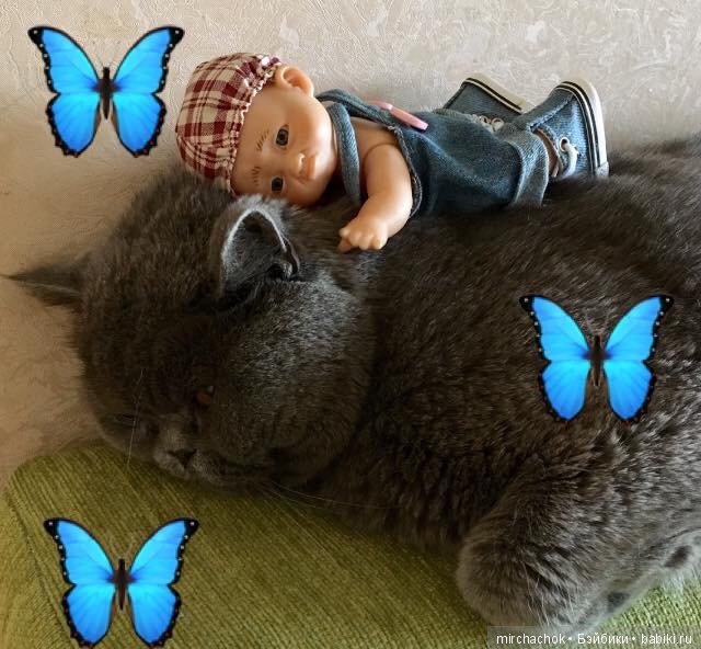 Немножко позитива и МиМиМишности от Даньки и Мейсона (фото 4)