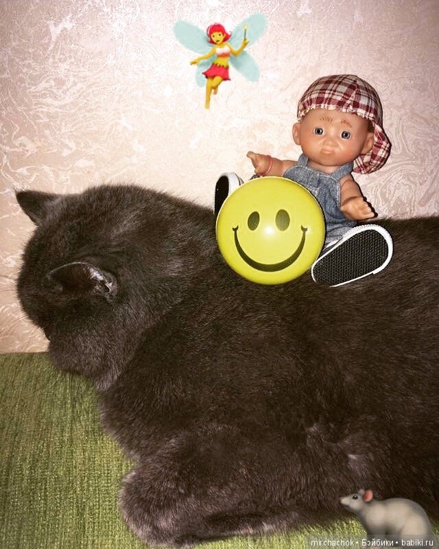 Немножко позитива и МиМиМишности от Даньки и Мейсона (фото 5)