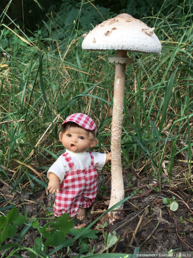 Гошина грибалка — Куклы D'Anton Jos (Д'Антон Джос): характерные