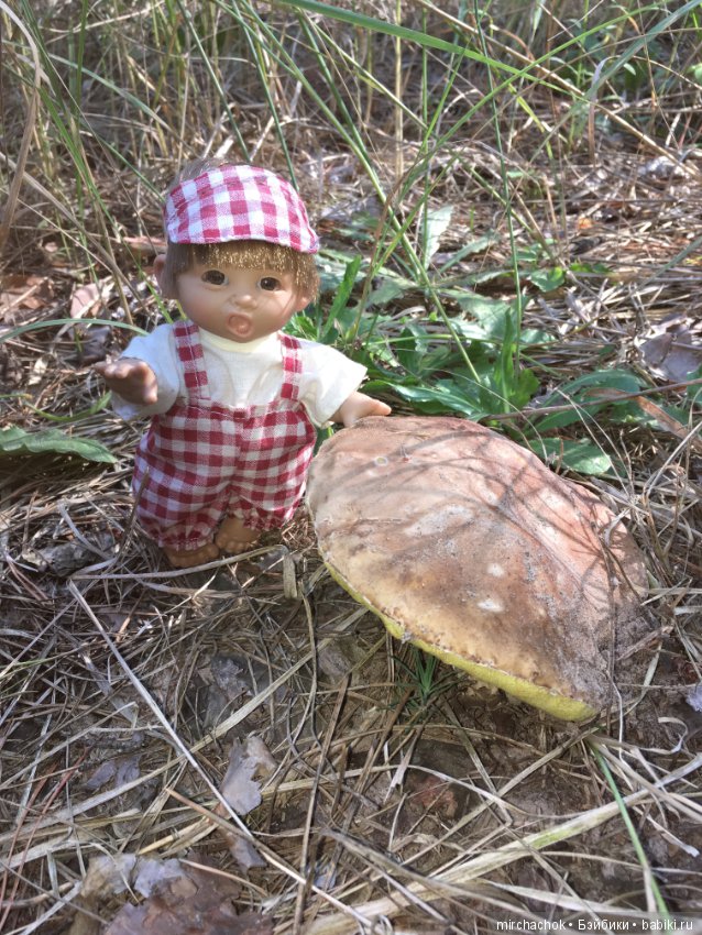 Гошина грибалка — Куклы D'Anton Jos (Д'Антон Джос): характерные (фото 4)