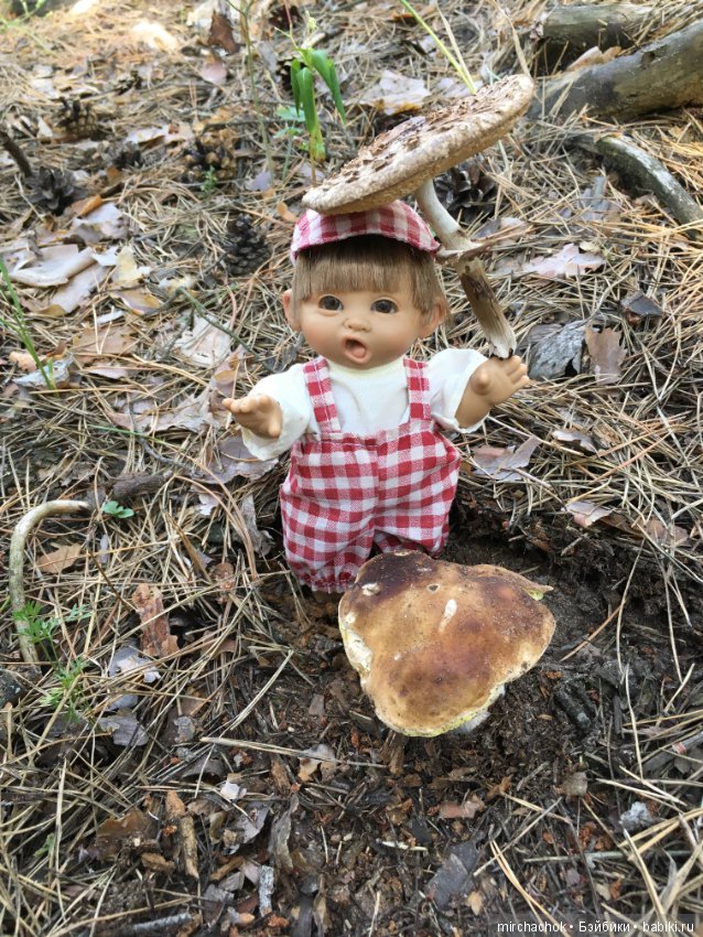 Гошина грибалка — Куклы D'Anton Jos (Д'Антон Джос): характерные