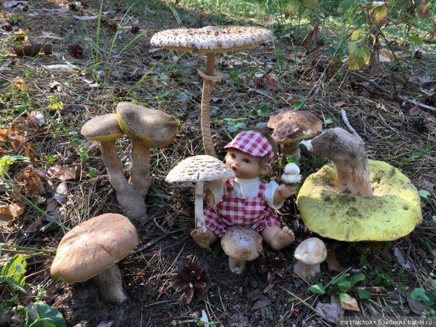 Гошина грибалка — Куклы D'Anton Jos (Д'Антон Джос): характерные