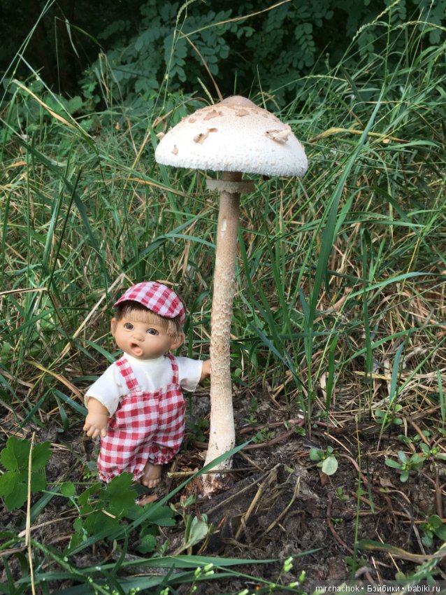 Гошина грибалка — Куклы D'Anton Jos (Д'Антон Джос): характерные