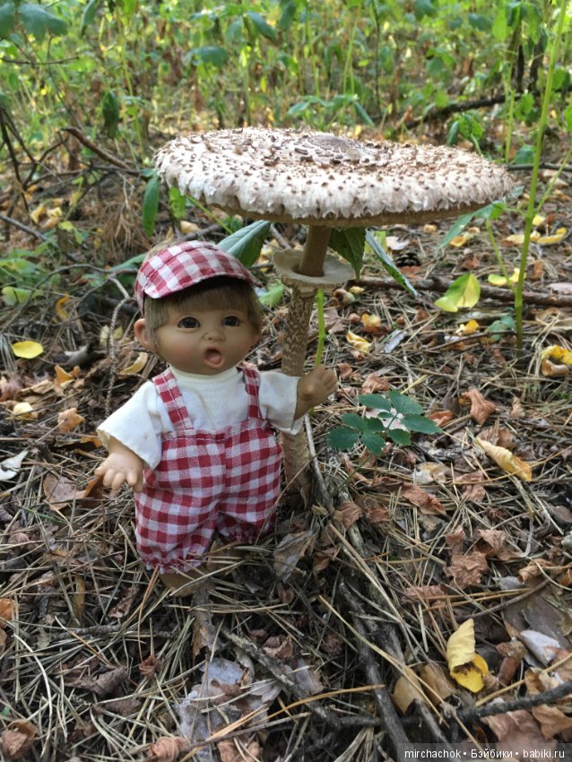 Гошина грибалка — Куклы D'Anton Jos (Д'Антон Джос): характерные (фото 7)