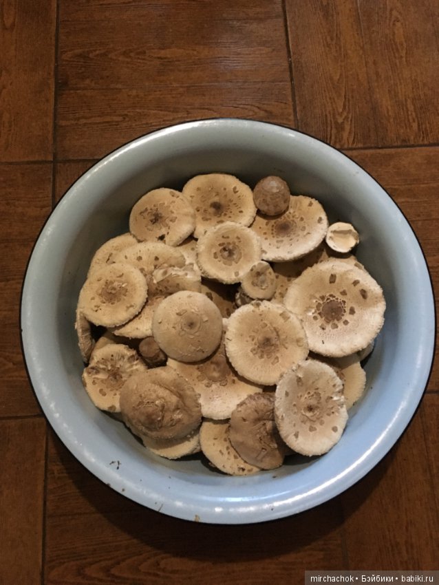 Гошина грибалка — Куклы D'Anton Jos (Д'Антон Джос): характерные