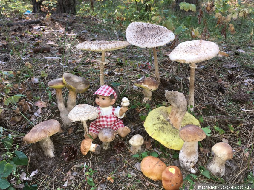 Гошина грибалка — Куклы D'Anton Jos (Д'Антон Джос): характерные