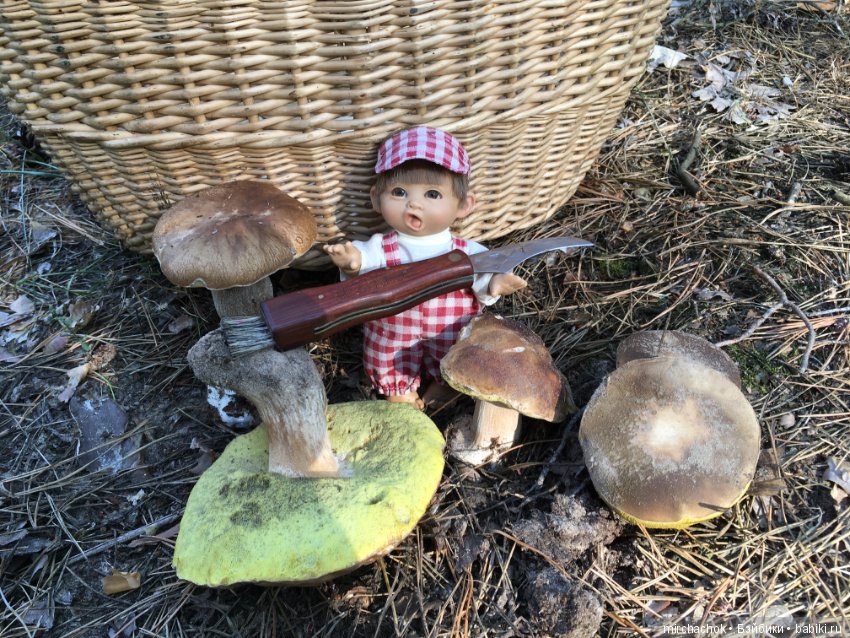 Гошина грибалка — Куклы D'Anton Jos (Д'Антон Джос): характерные (фото 5)