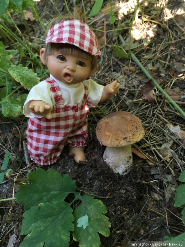 Гошина грибалка — Куклы D'Anton Jos (Д'Антон Джос): характерные