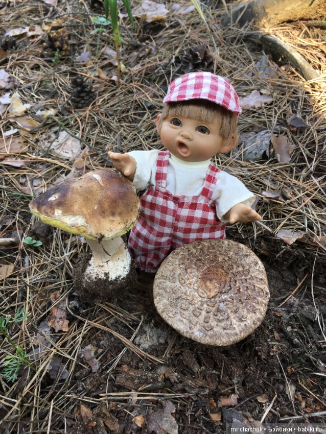 Гошина грибалка — Куклы D'Anton Jos (Д'Антон Джос): характерные (фото 3)