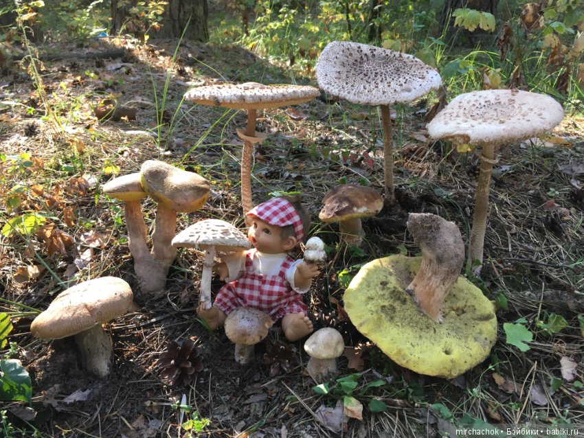 Гошина грибалка — Куклы D'Anton Jos (Д'Антон Джос): характерные