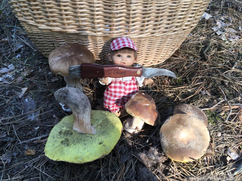 Гошина грибалка — Куклы D'Anton Jos (Д'Антон Джос): характерные (фото 6)
